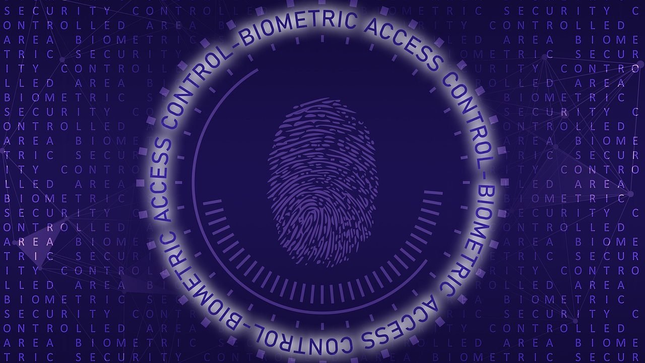 Biometric Authentication Process