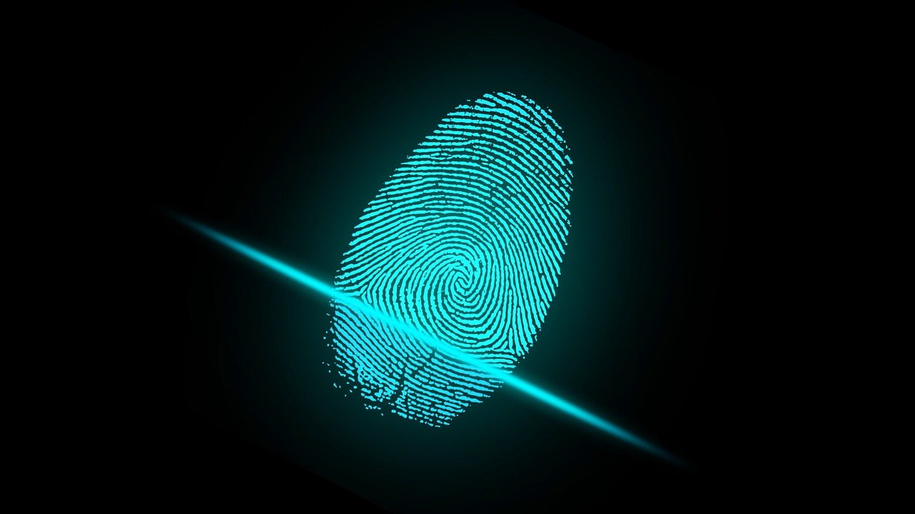 Biometric Authentication