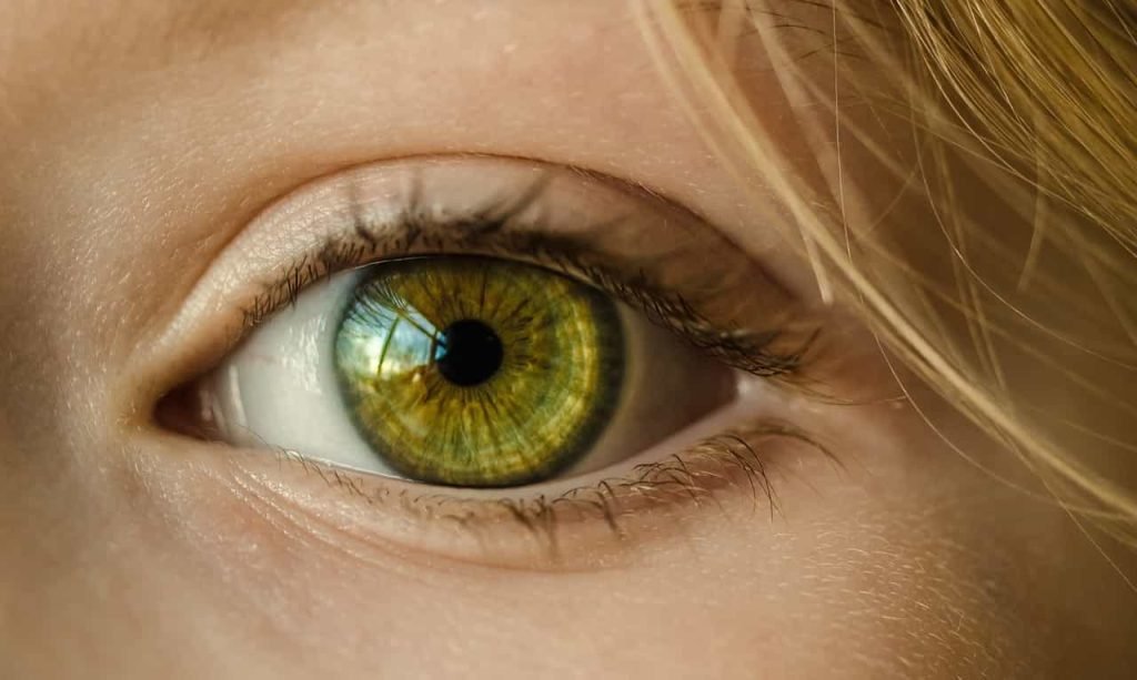 Iris Recognition Advantages and Disadvantages